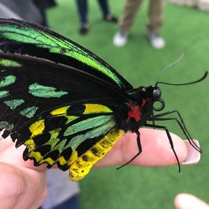 Meet your Posher, Christina